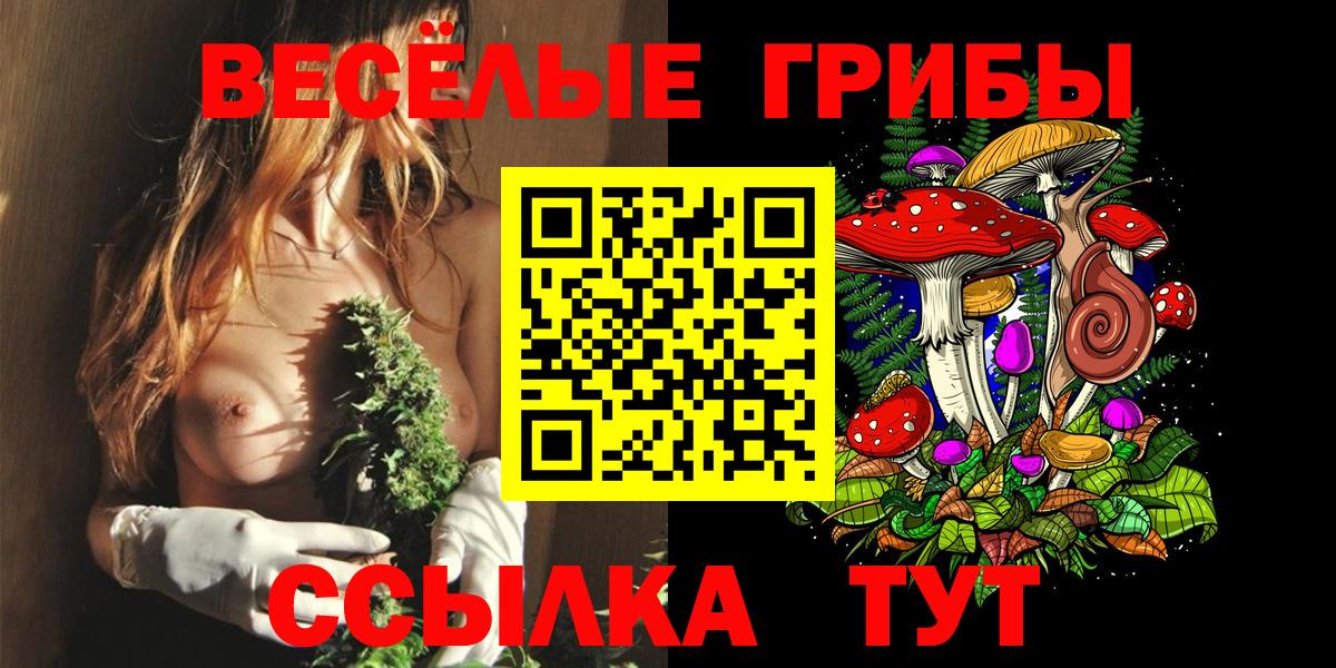 Псилоцибиновые грибы мухоморы Георгиевск