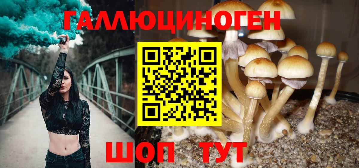 Галлюциногенные грибы ЛСД  Псилоцибиновые грибы мухоморы  Георгиевск  Вход с VPN 
